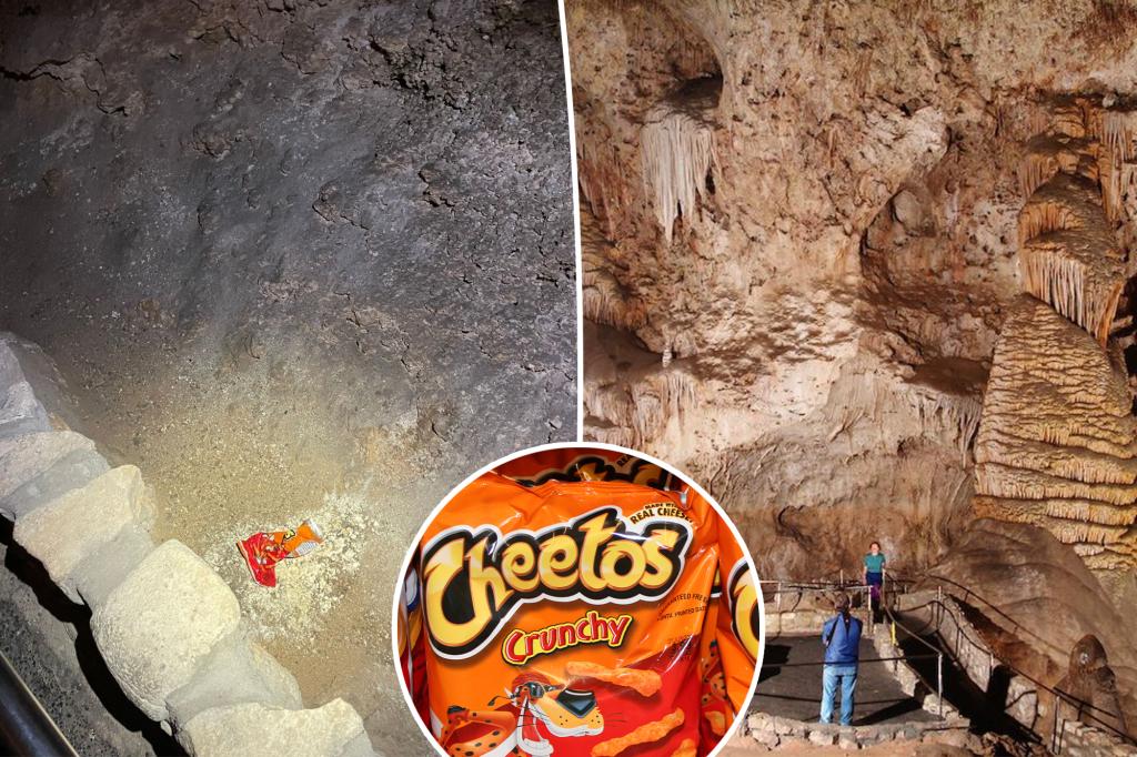 How a single bag of smuggled Cheetos caused a 'world-changing' impact in a national park